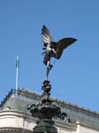 HIer gehts zu den Fotos vom Piccadilly Circus
