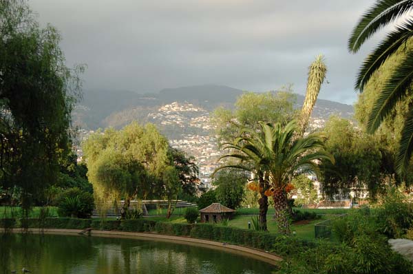 funchal001