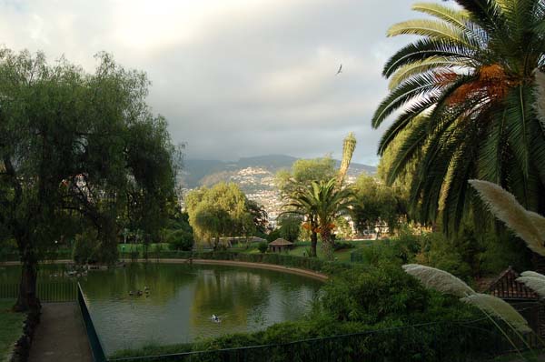 funchal019