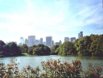 New York aus dem Central Park heraus