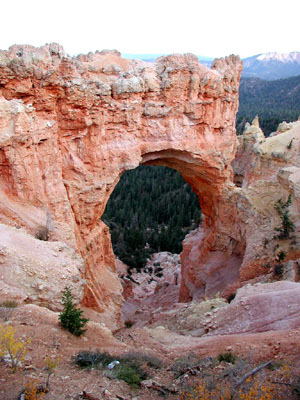 Natural Bridge