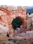 Natural Bridge