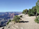 Trail im Grand Caynon NP