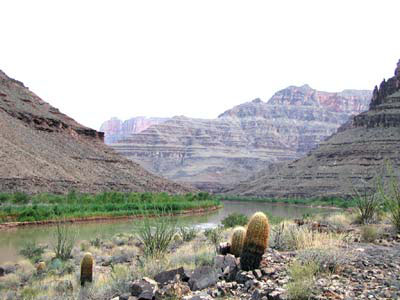 Am Ufer des Colorados