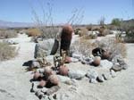 Palm Canyon