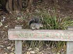 Golden Gate Park