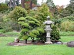 Golden Gate Park