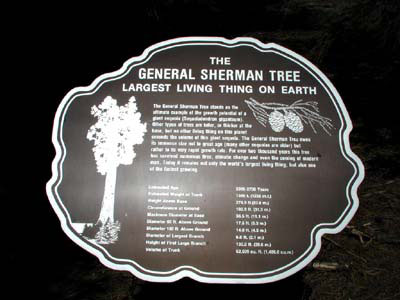 nfoschild vom General Sherman