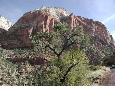 Berg