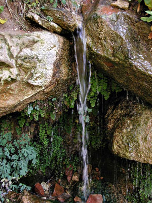 Weeping Rock