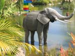 Hier gehts zu den Pics vom Legoland