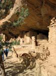 Spruce Tree House