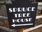 Spruce Tree House