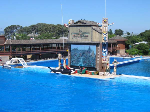 Shamu