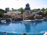 SeaWorld