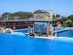 SeaWorld